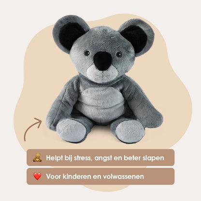 Fellow sufferer Koala 2kg