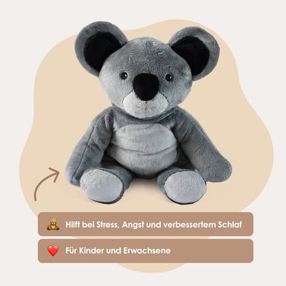 Fellow sufferer Koala 2kg