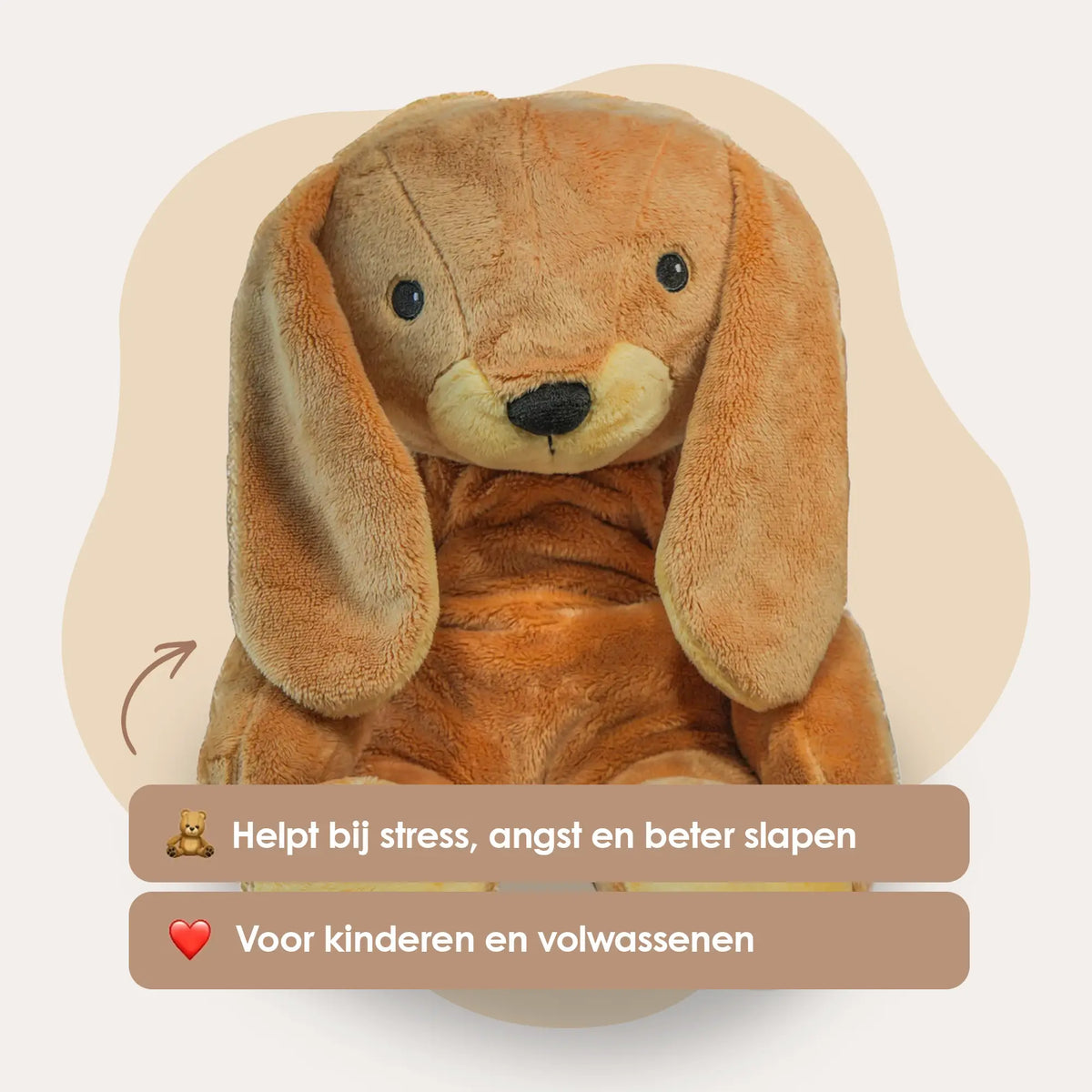 Mini & Large Rabbit - You save €20