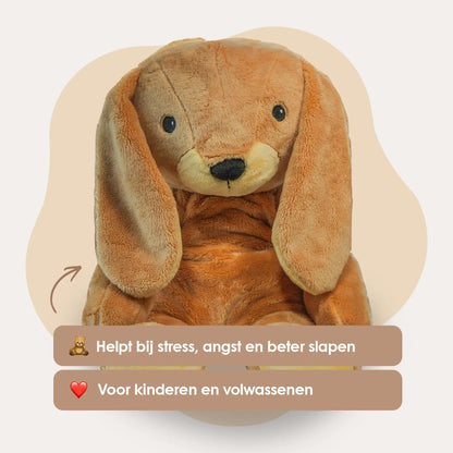 Mini & Large Rabbit - You save €20