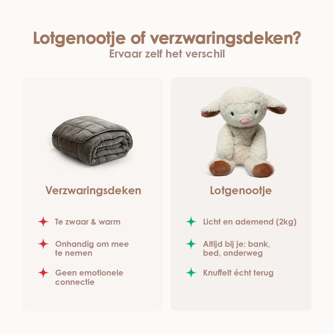 Fellow Sheep 2kg