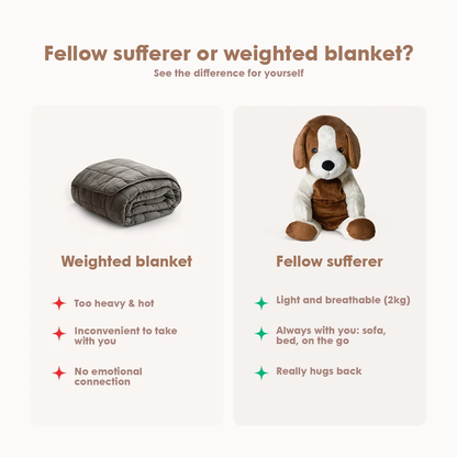 Fellow sufferer Dog 2kg