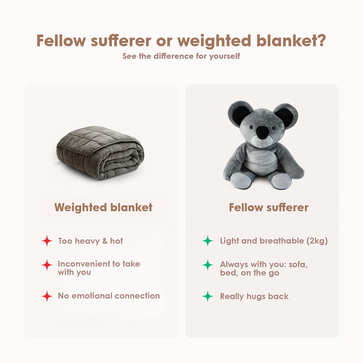 Fellow sufferer Koala 2kg