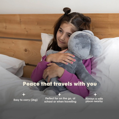 Fellow sufferer Koala 2kg
