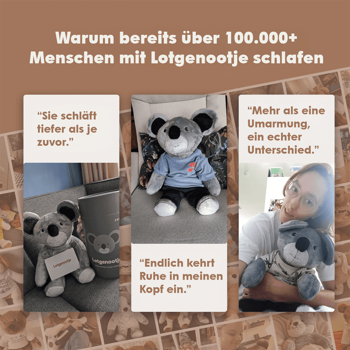 Fellow sufferer Koala 2kg