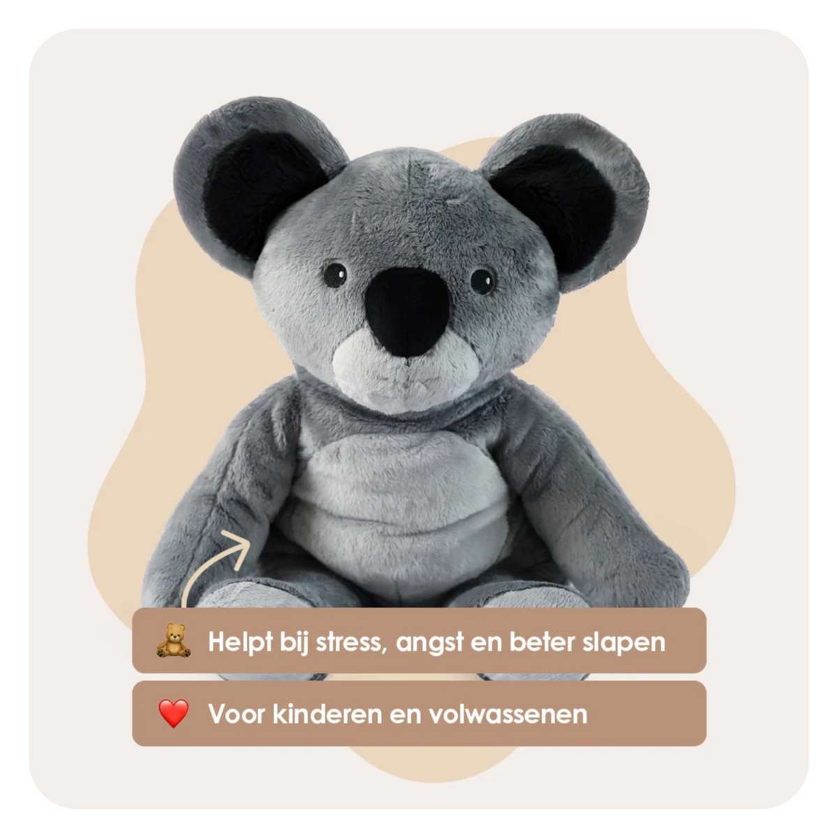 The best Lotgenootje deal – All 4 Lotgenootjes in 1 – You save €70
