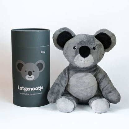 Fellow sufferer Koala 2kg
