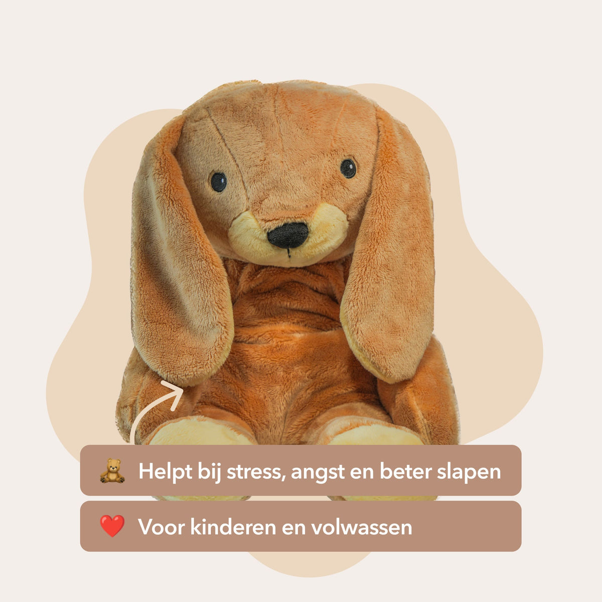 The best Lotgenootje deal – All 4 Lotgenootjes in 1 – You save €70