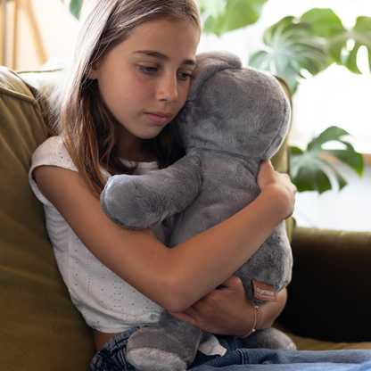 Mini & Large Koala - You save €20