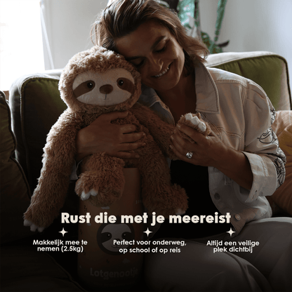 Fellow Sloth 2.5 kg